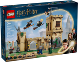 Castello di Hogwarts: Lezioni di volo