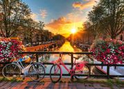 Bicycles in Amsterdam