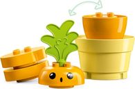 LEGO® DUPLO® Growing Carrot components