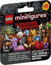 Dungeons & Dragons Minifigures
