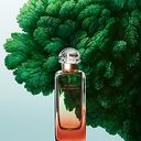 Hermès Un Jardin Sur La Lagune Eau de toilette