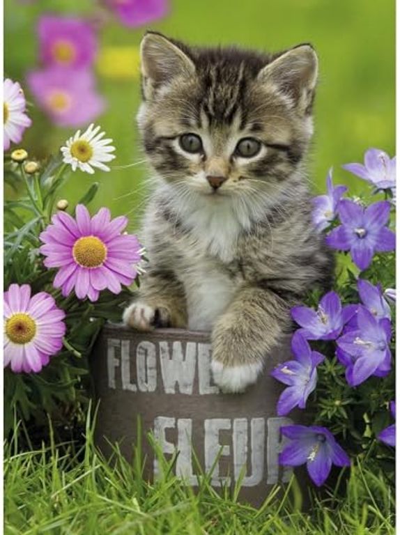 Petit chaton dans les fleurs