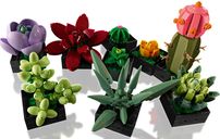 LEGO® Icons Succulents components