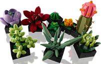 LEGO® Icons Suculentas partes