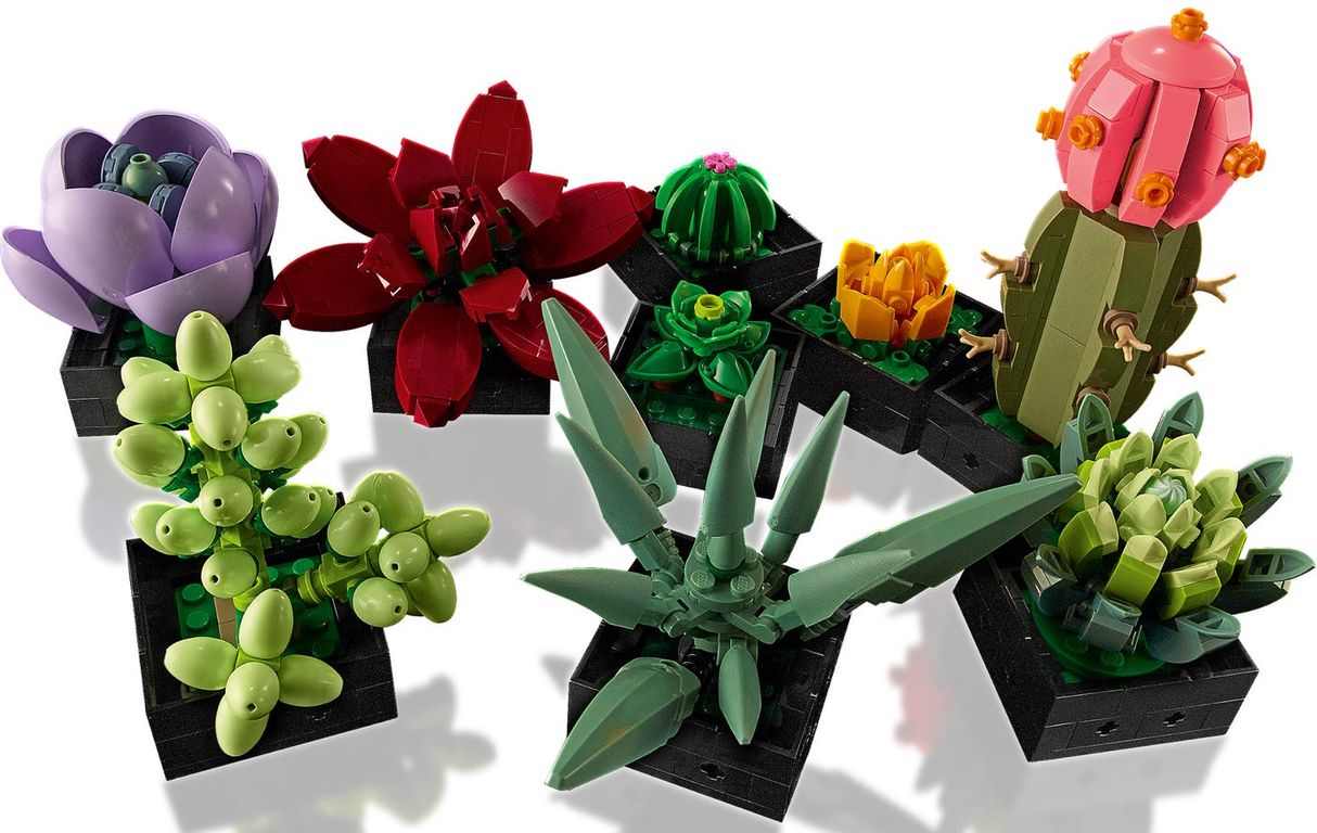 LEGO® Icons Les succulentes composants