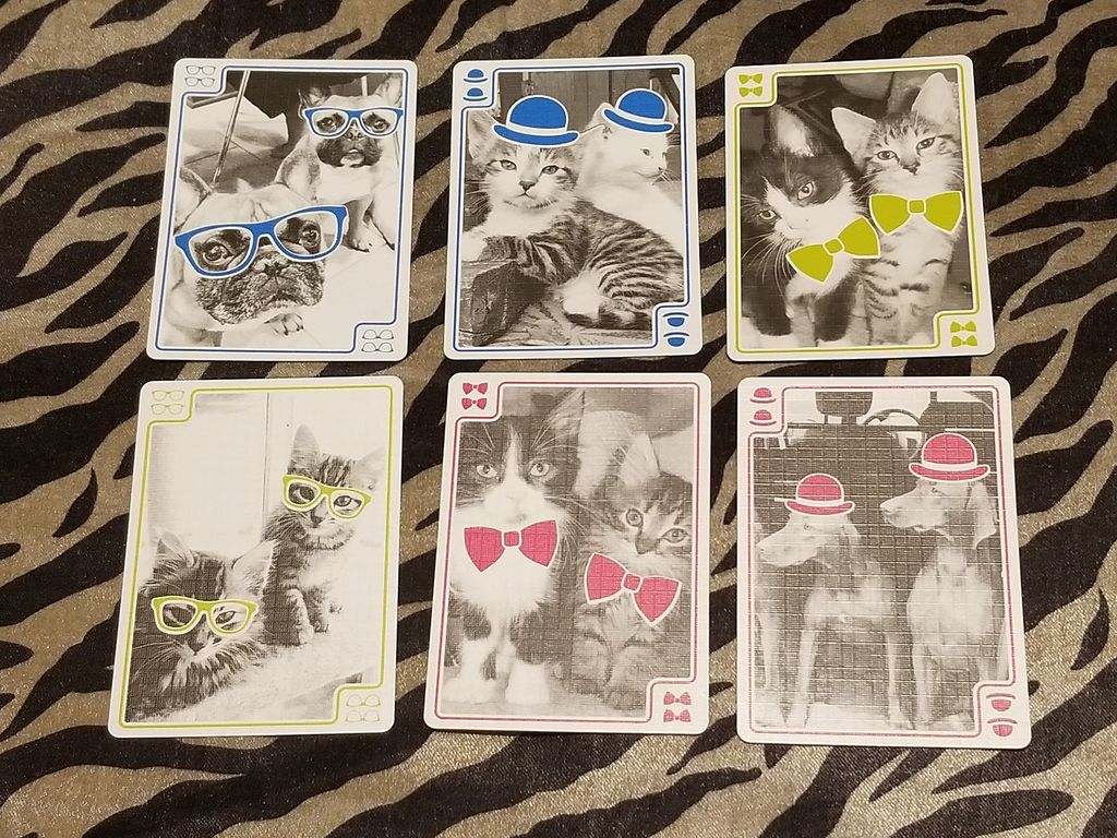 You Gotta Be Kitten Me! cartes