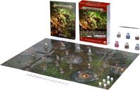 Warhammer Age of Sigmar: Set d'Introduction composants