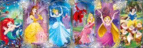 Disney Princess Panorama