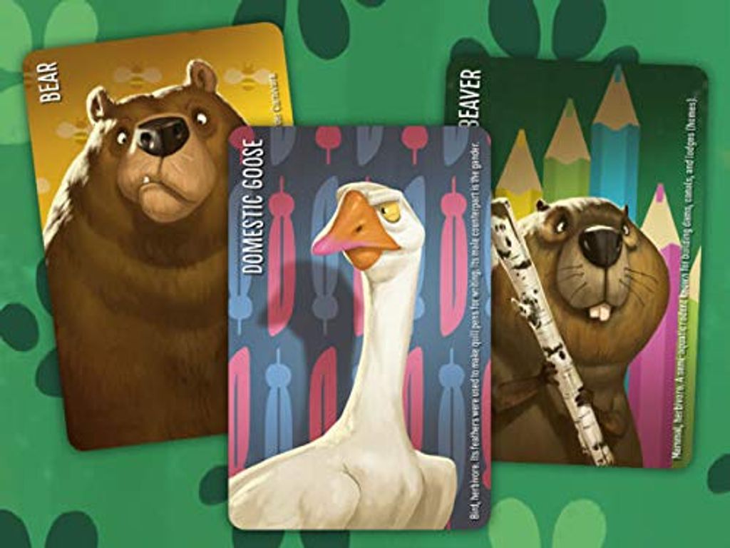 Similo: Animals cards