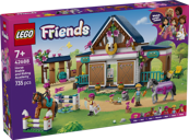 Horse Stable and Riding Academy