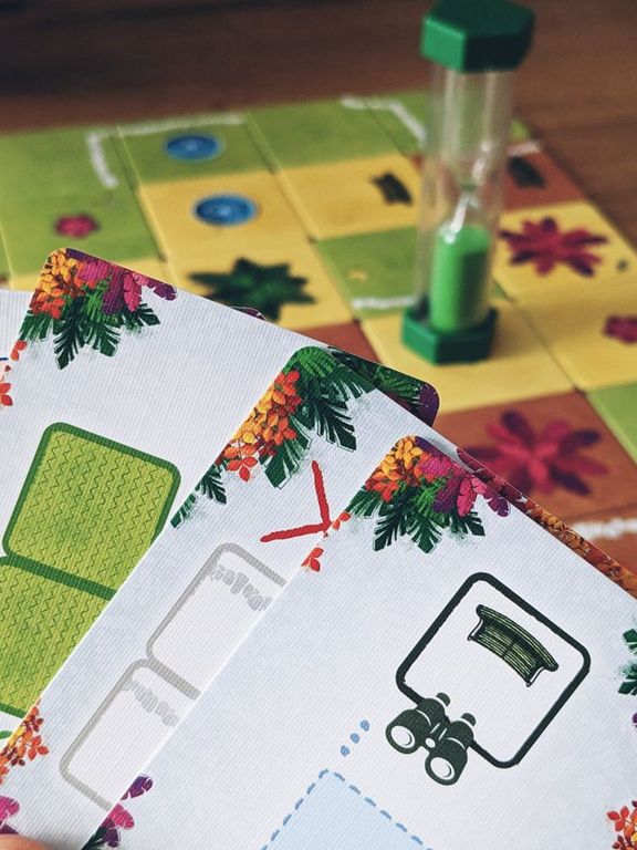 Gardeners cartas