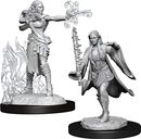 D&D Nolzur's Marvelous Miniatures - Multiclass Warlock & Sorcerer Female miniatures