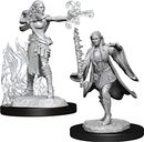 D&D Nolzur's Marvelous Miniatures - Multiclass Warlock & Sorcerer Female miniature