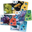 Aquaria cards