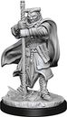 D&D Nolzur's Marvelous Miniatures - Hobgoblin Devastator & Iron Shadow miniature