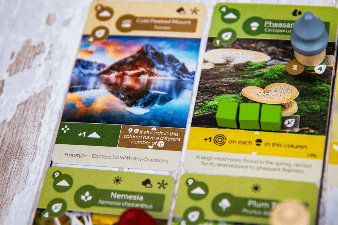 Earth: Abundance cards