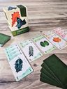 13 Leaves box