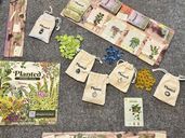 Planted: A Game of Nature & Nurture components