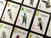 Wingspan: Americas Expansion cards