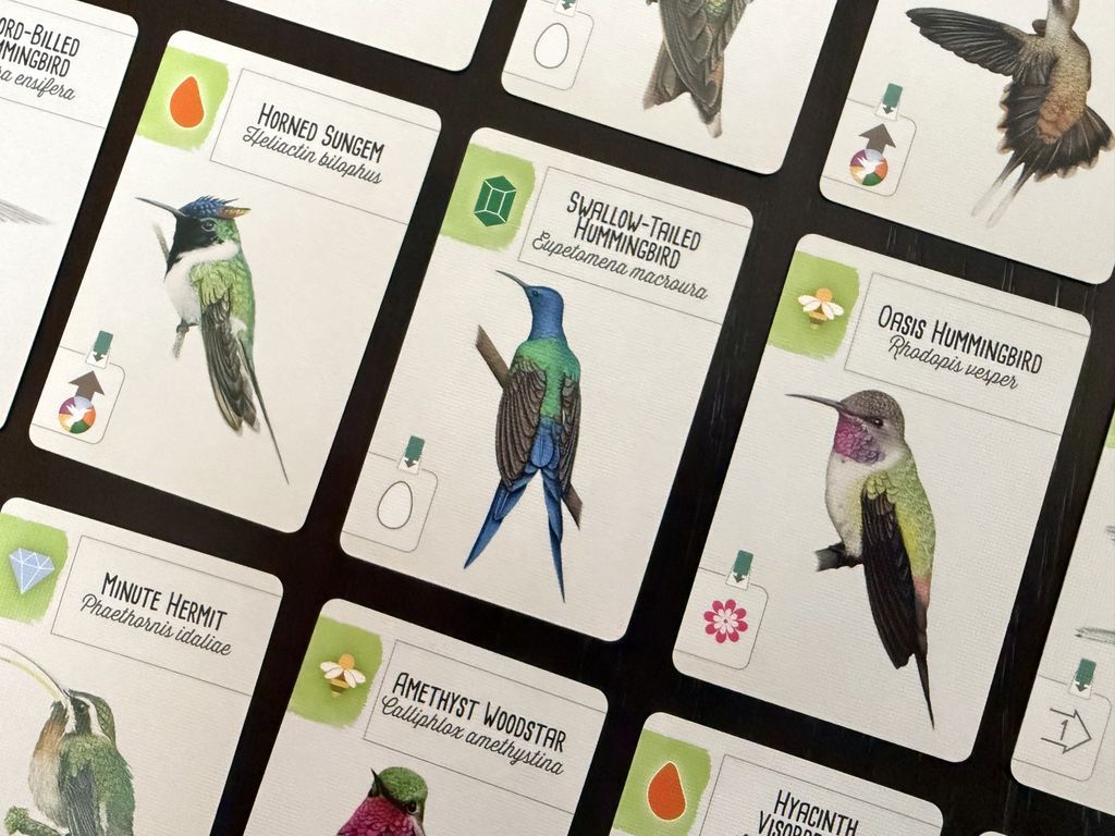 Wingspan: Americas Expansion cards