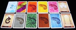 Coloretto cards