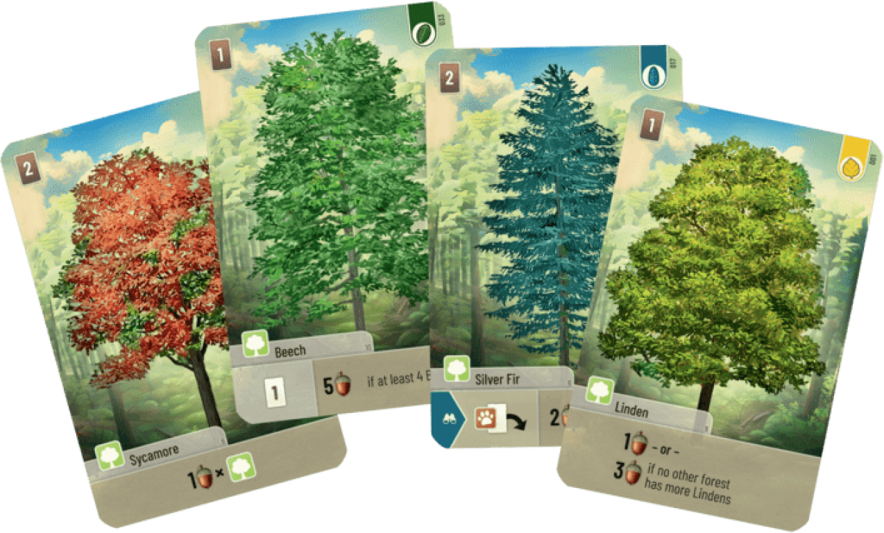 Forêt Mixte cartes