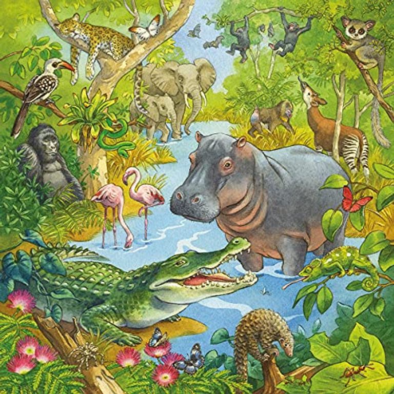 Animaux de la jungle