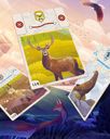 The Peak Team cards