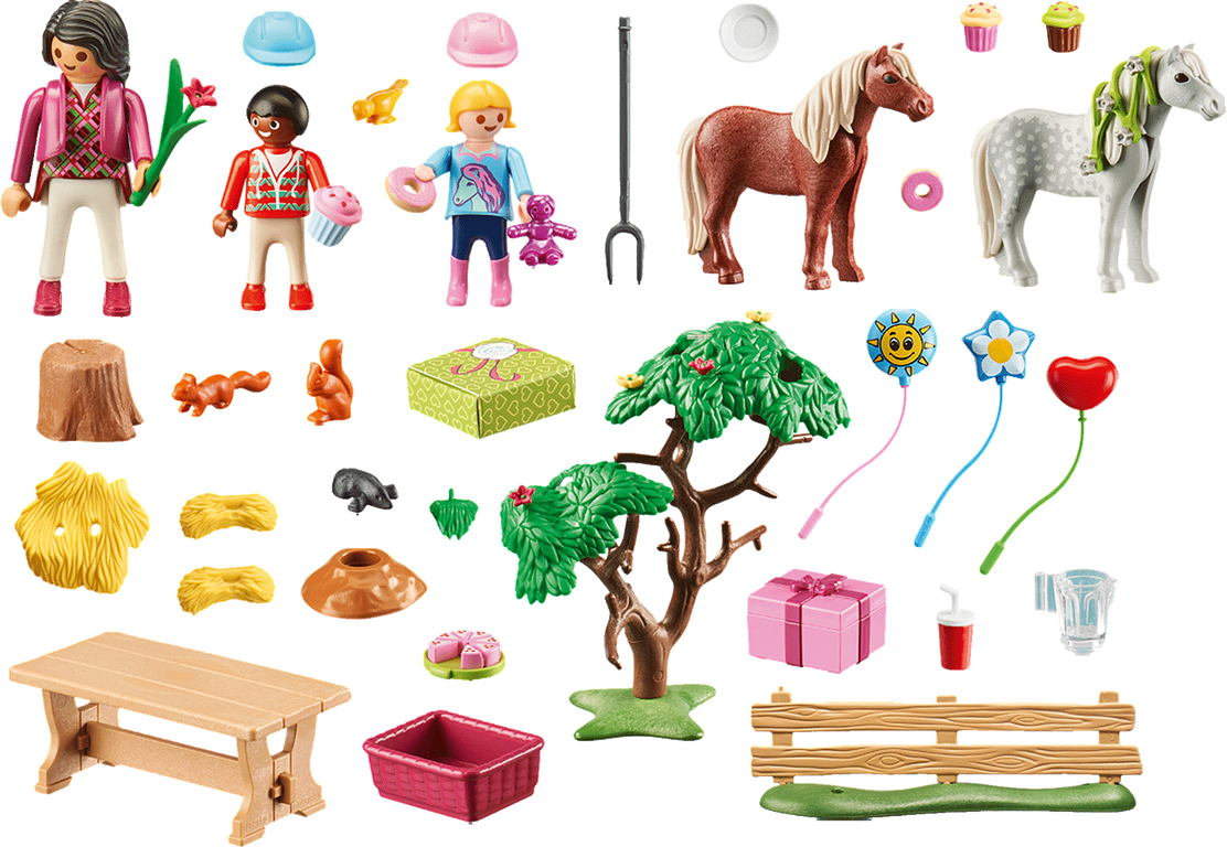 Playmobil® Country Pony Farm Birthday Party components