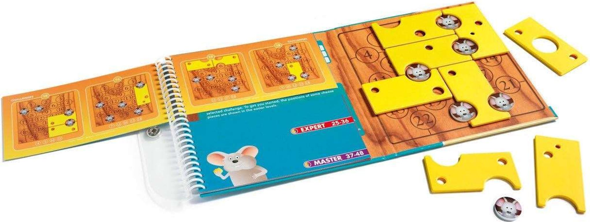 Brain Cheeser partes