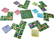 Karuba: Jeu de cartes composants