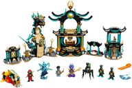 LEGO® Ninjago Tempio del Mare Infinito componenti