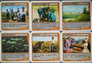 Fields of Green: Kickstarter Promo Cards cartes
