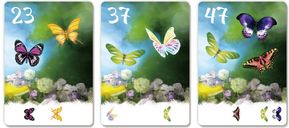 The Butterfly Garden (Second Edition) cards