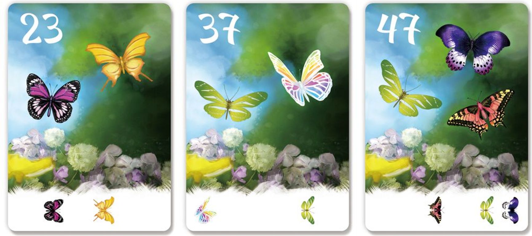 The Butterfly Garden (Second Edition) cards