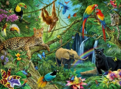 Animaux dans la jungle