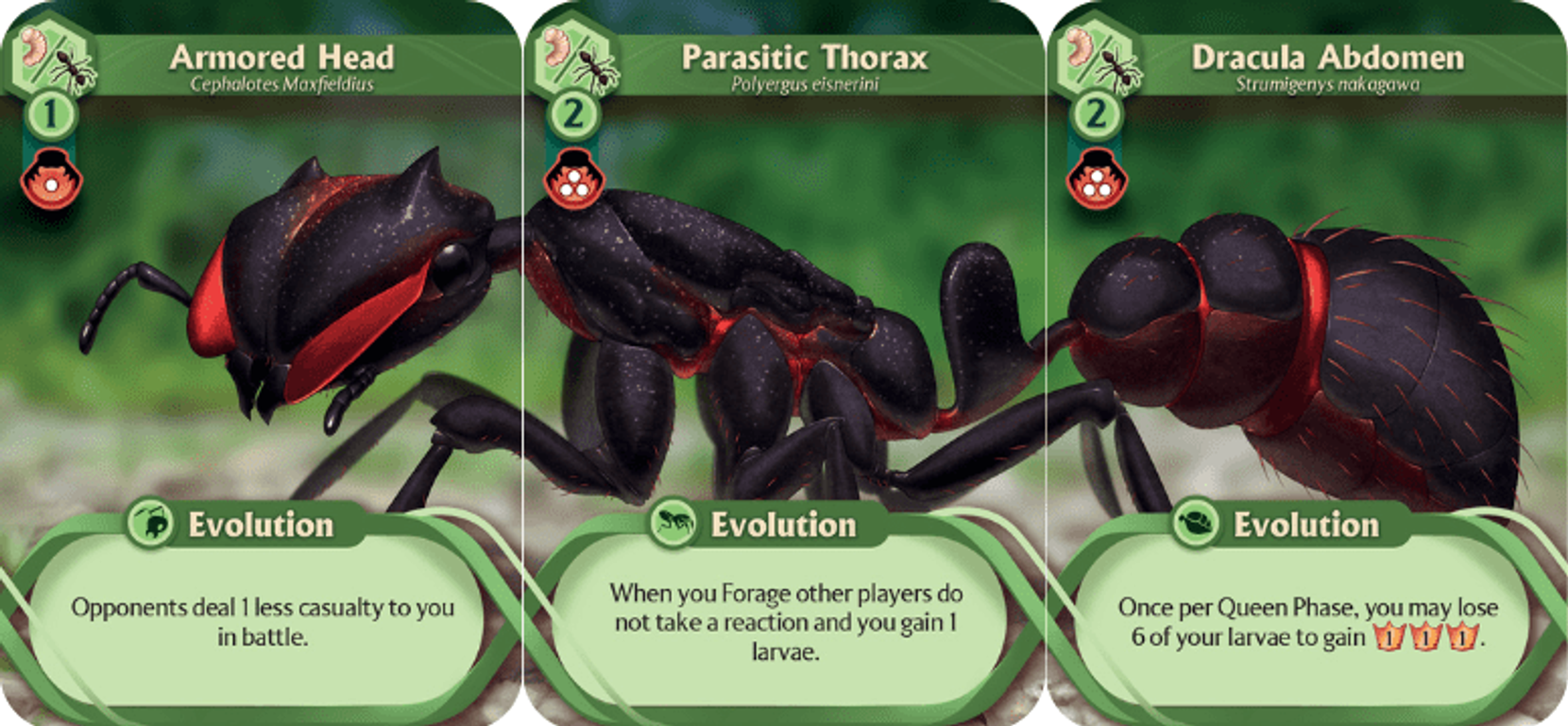 March of the Ants: Evolved Edition cards