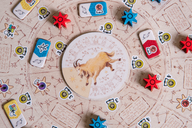 The Voynich Puzzle components