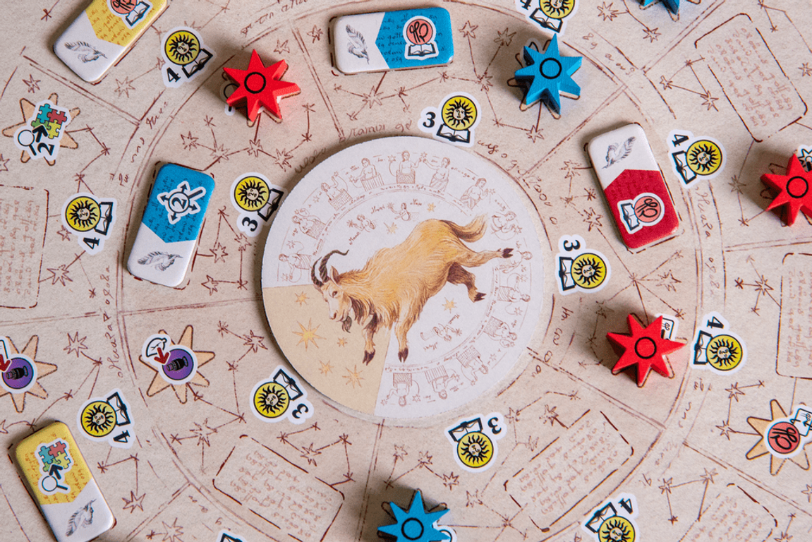 The Voynich Puzzle components