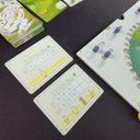 Evergreen: Giant Trees and Mushrooms components
