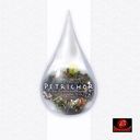 Petrichor