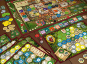 The Castles of Burgundy (20th Anniversary) componenti