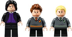 LEGO® Harry Potter™ Lezione di pozioni a Hogwarts™ minifigure