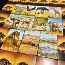 Ecosystem: Savanna karten