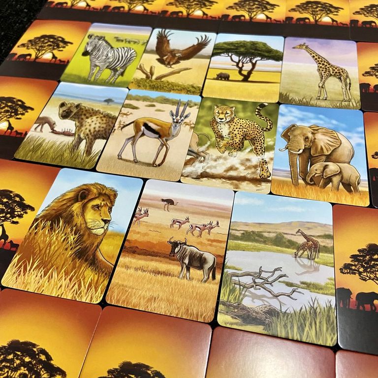 Ecosystem: Savanna karten