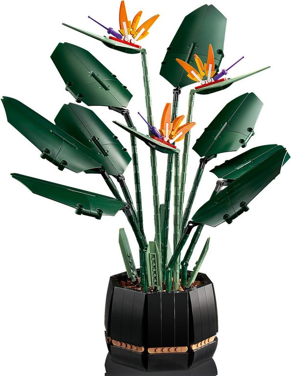 LEGO® Botanicals L’oiseau de paradis composants