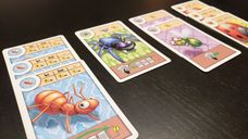 Bugs on Rugs cards