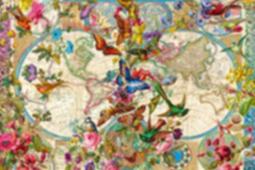 world map with butterflies