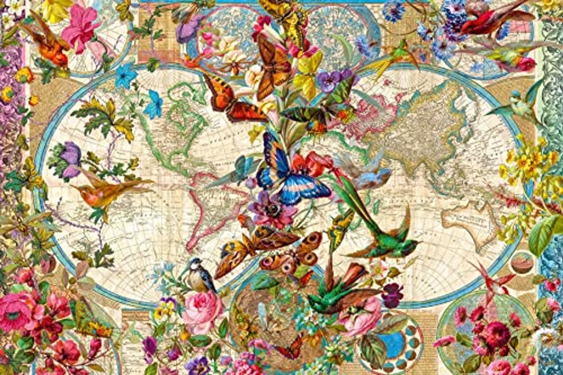 world map with butterflies