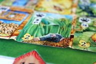 Meadow Im Reich der Natur spielablauf